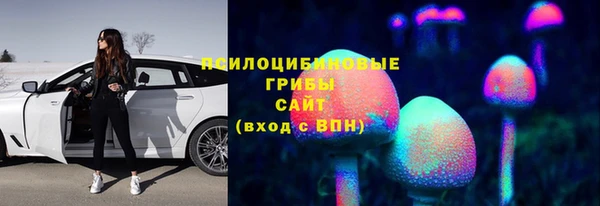 дживик Аркадак