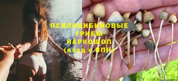 каннабис Арсеньев