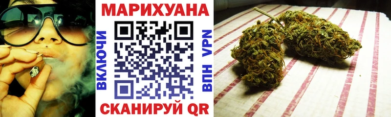 Каннабис OG Kush  Сланцы 